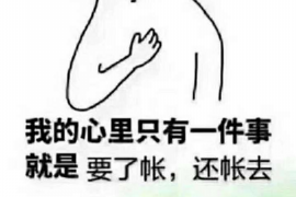 华容债务清欠服务